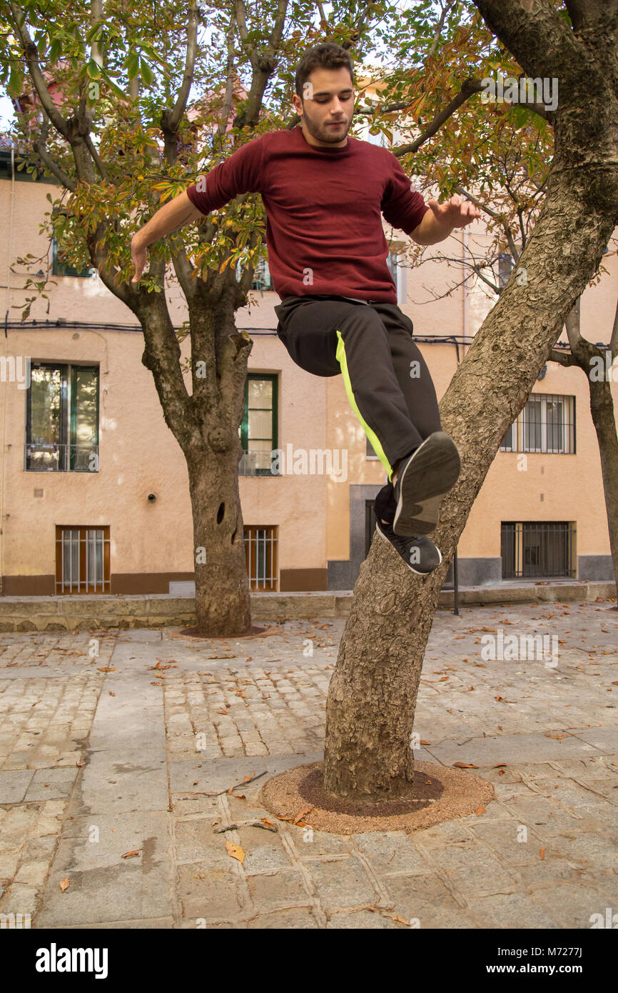 Giovane uomo facendo un incredibile parkour trick su un albero in strada. Foto Stock