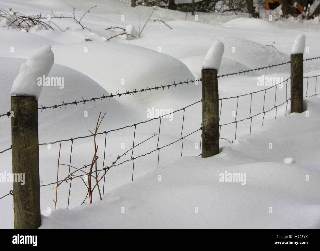 Fenceposts innevate e le derive a Llangollen, Galles Foto Stock