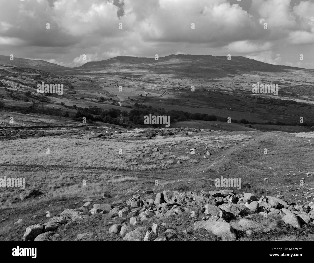 Pen y Gaer Iron Age hillfort, il Galles del Nord: vista NNO su chevaux-de-frise difese (montante di piccole pietre) & terrapieno lineare al di fuori dell'ingresso W. Foto Stock