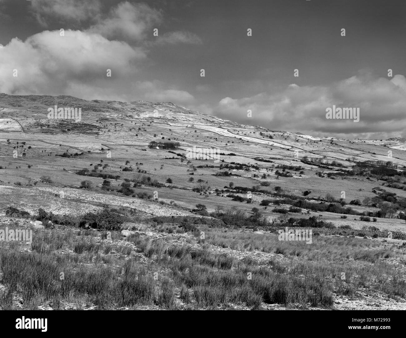 Visualizza N di Maen y Bardd area su S & e piste di Tal y ventola sopra la valle di Conwy, il Galles del Nord. Una remota zona di montagna ricca di resti preistorici. Foto Stock