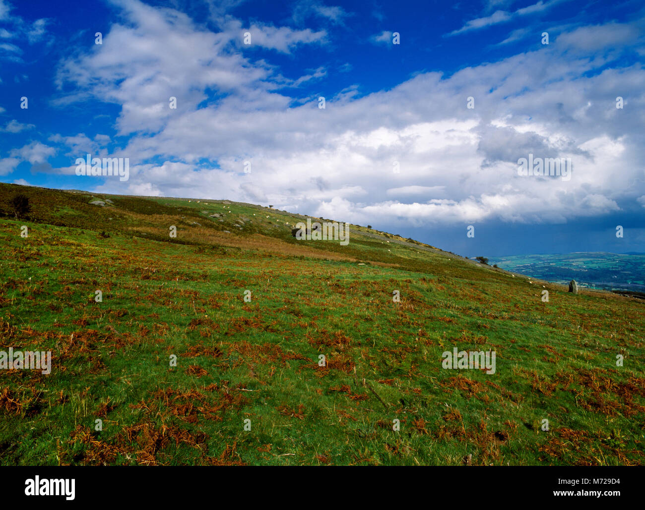 Visualizzare NE DI Cae Coch tarda età del ferro insediamento della piattaforma (centro) & Età del Bronzo pietra permanente (R) su S pendii di Tal y ventilatore affacciato sulla valle di Conwy, Regno Unito. Foto Stock