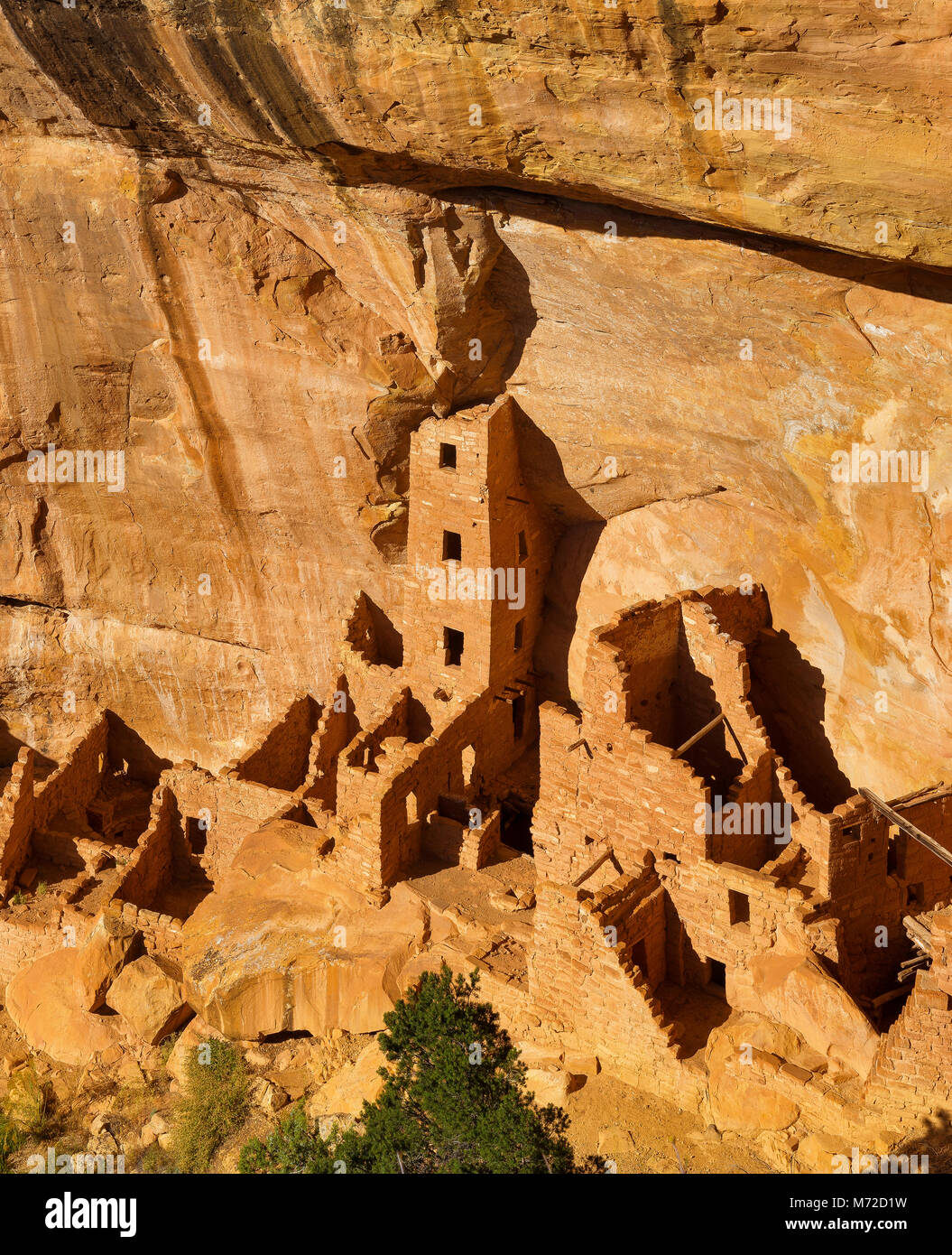 Torre quadrata House rovina, Mesa Verde National Park, Ute Indian Reservation, Montezuma County, Colorado Foto Stock