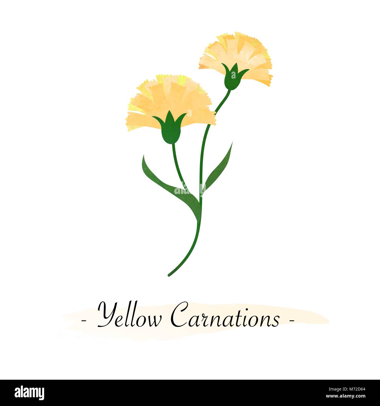 Colorata ad acquerello vettore texture Botanic Garden fiore giallo garofani Illustrazione Vettoriale