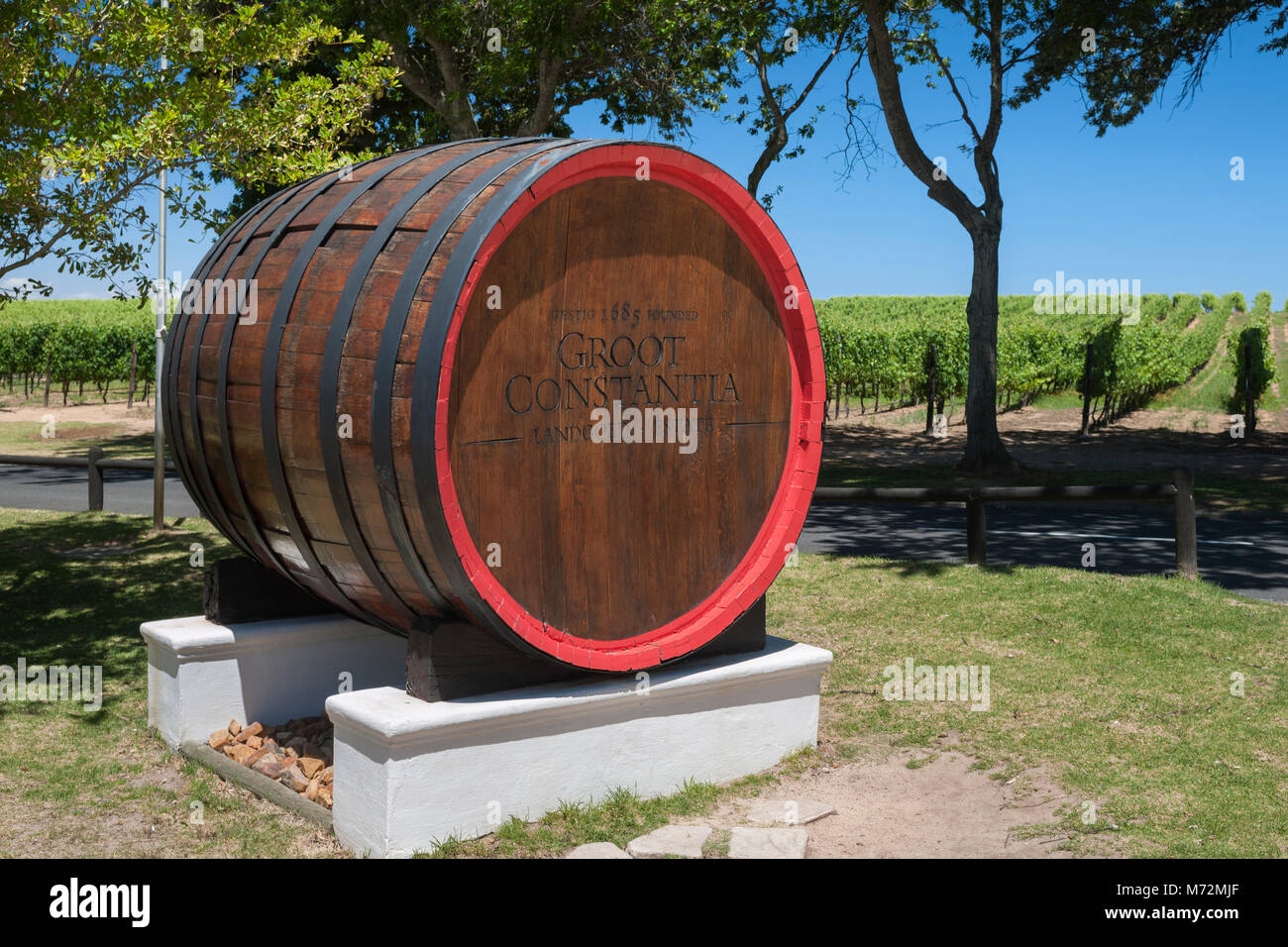 Vino decorativo canna a Groot Constantia wine estate a Cape Town. Foto Stock