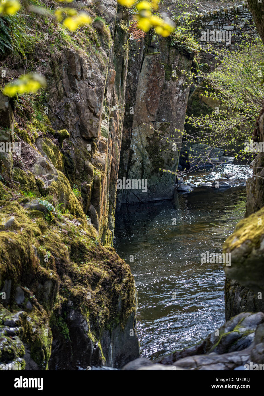 Aira Force cascate, Lake District Foto Stock