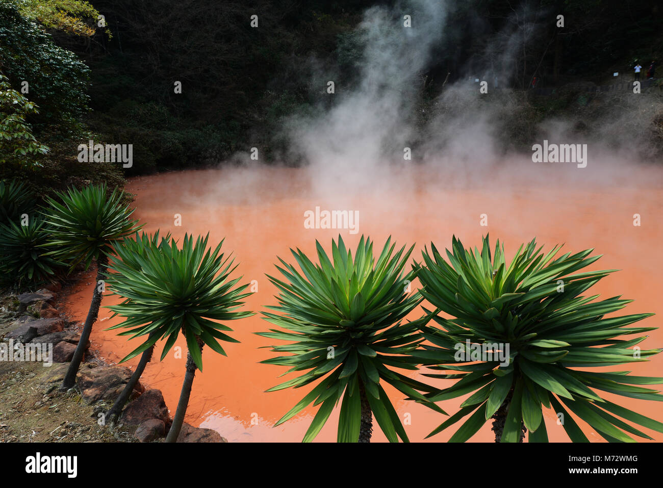 Chi-no-ike Jigoku ( sangue Pond) è la più antica Jigoku primavera in Giappone. Foto Stock