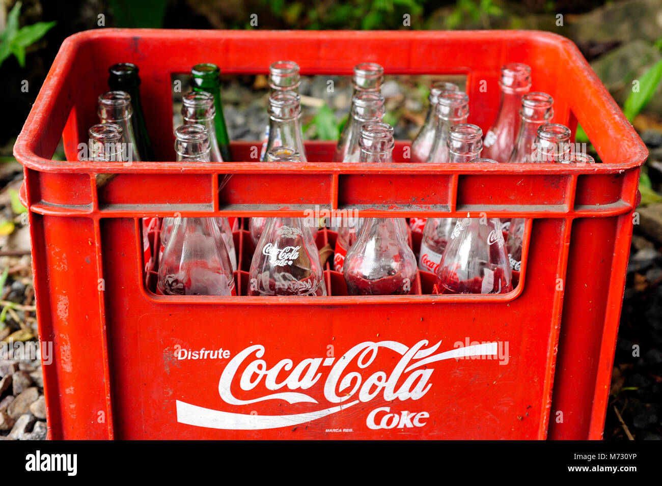 Un caso di vetro bottiglie di soda attende il riciclaggio. Foto Stock