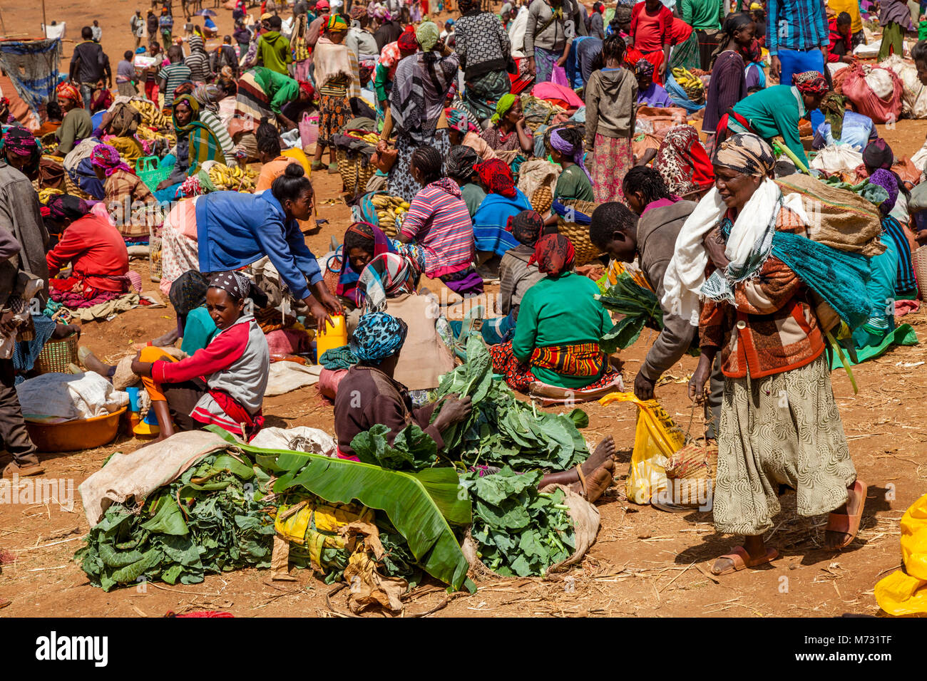Dorze Donne per la vendita di frutta e verdura presso il famoso mercato del sabato nel villaggio di Chencha, Guge montagne, Gamo Gofa Zona, Etiopia Foto Stock