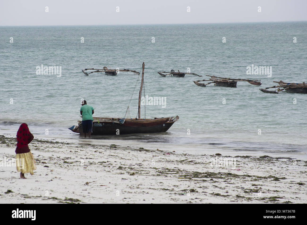 Sambuco tradizionale di barche da pesca a bassa marea nella spiaggia di Jambiani Zanzibar Tanzania con alghe marine agricoltore donna e la sabbia bianca Foto Stock