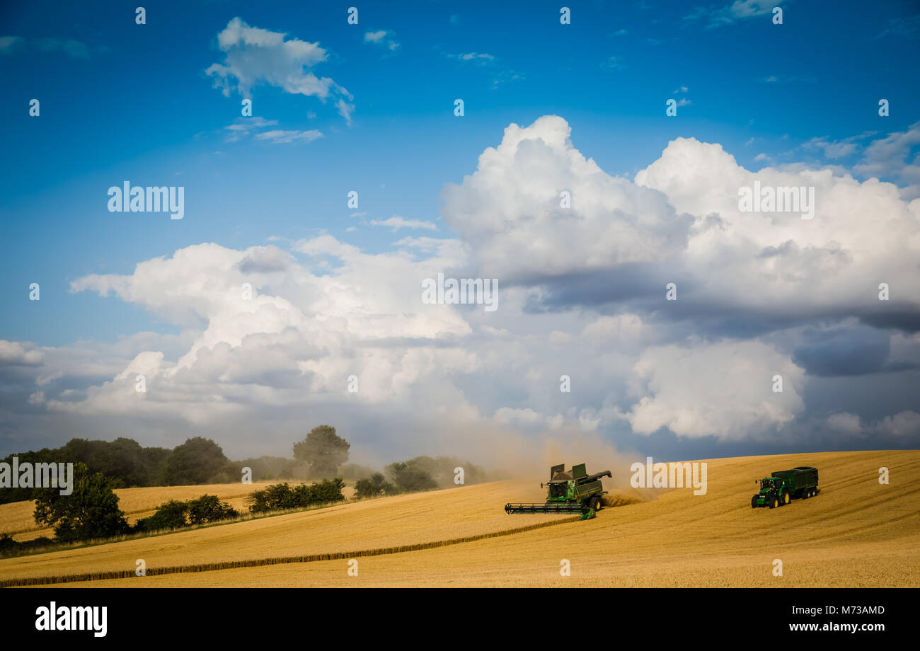 Inglese raccolto di grano con una mietitrebbia, il trattore e il rimorchio della granella in presenza con un cielo tempestoso in background Foto Stock