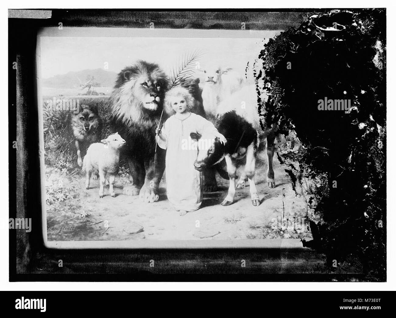 Copia del dipinto del giovane ragazzo con Lion, ovini e altri animali matpc LOC.08773 Foto Stock