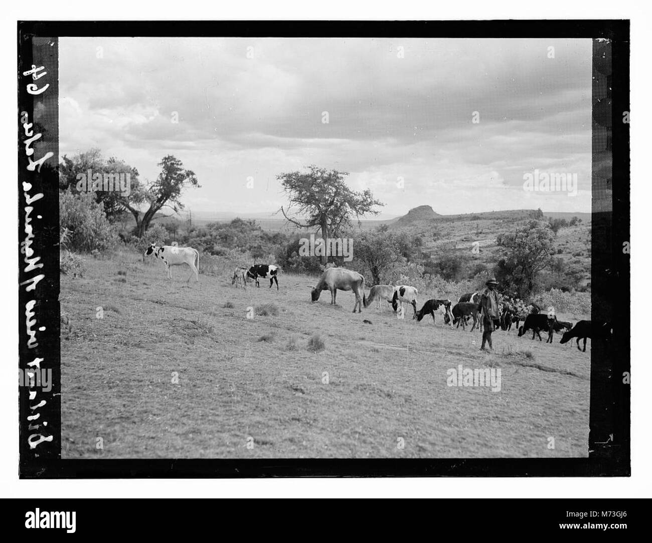 Una vista lontana del lago Naivasha in Kenya, conosciuto per il suo paesaggio sereno e la bellezza naturale, offre una vista tranquilla e remota del lago. Foto Stock