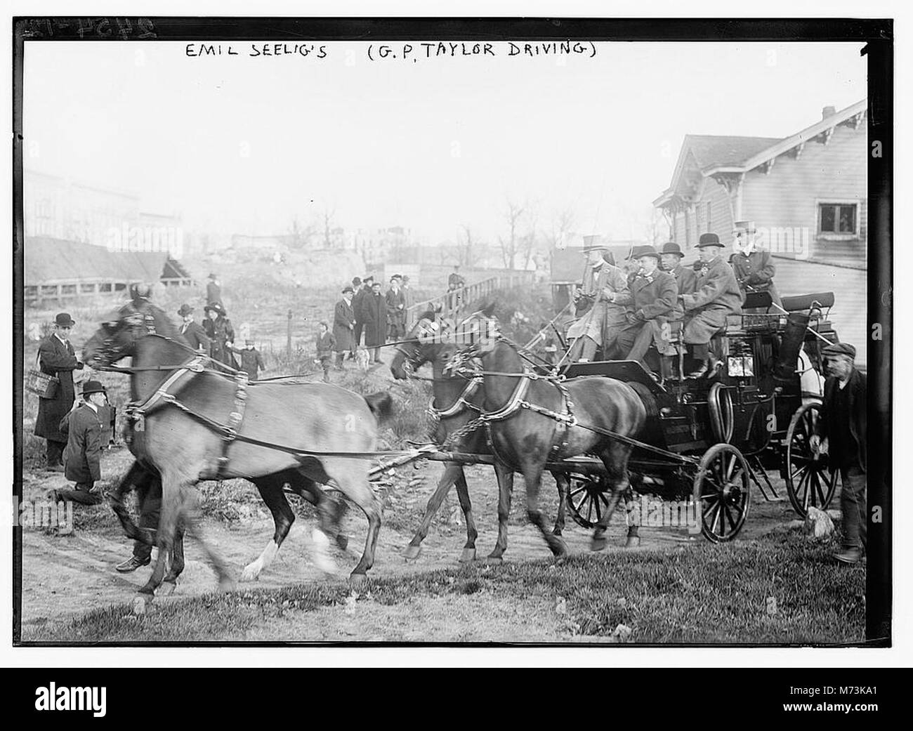 Questa fotografia mostra i cavalli di Emil Seelig, con G.P. Taylor alla guida, che cattura un momento di attività in carrozza trainata da cavalli. Foto Stock