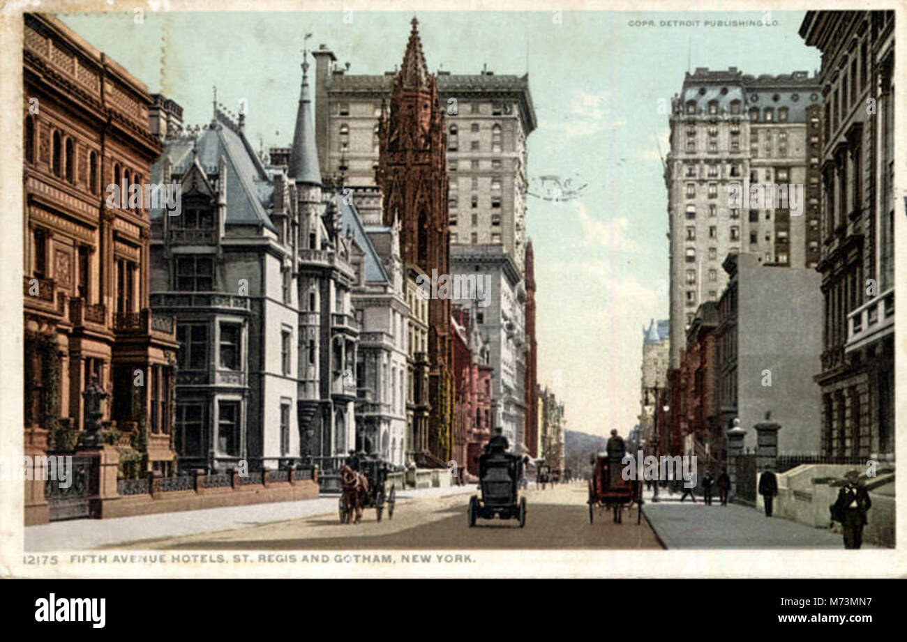 Un'immagine degli hotel di St. Regis e Gotham situati sulla Fifth Avenue a New York City, che mostrano due dei più iconici hotel di lusso della città. Foto Stock