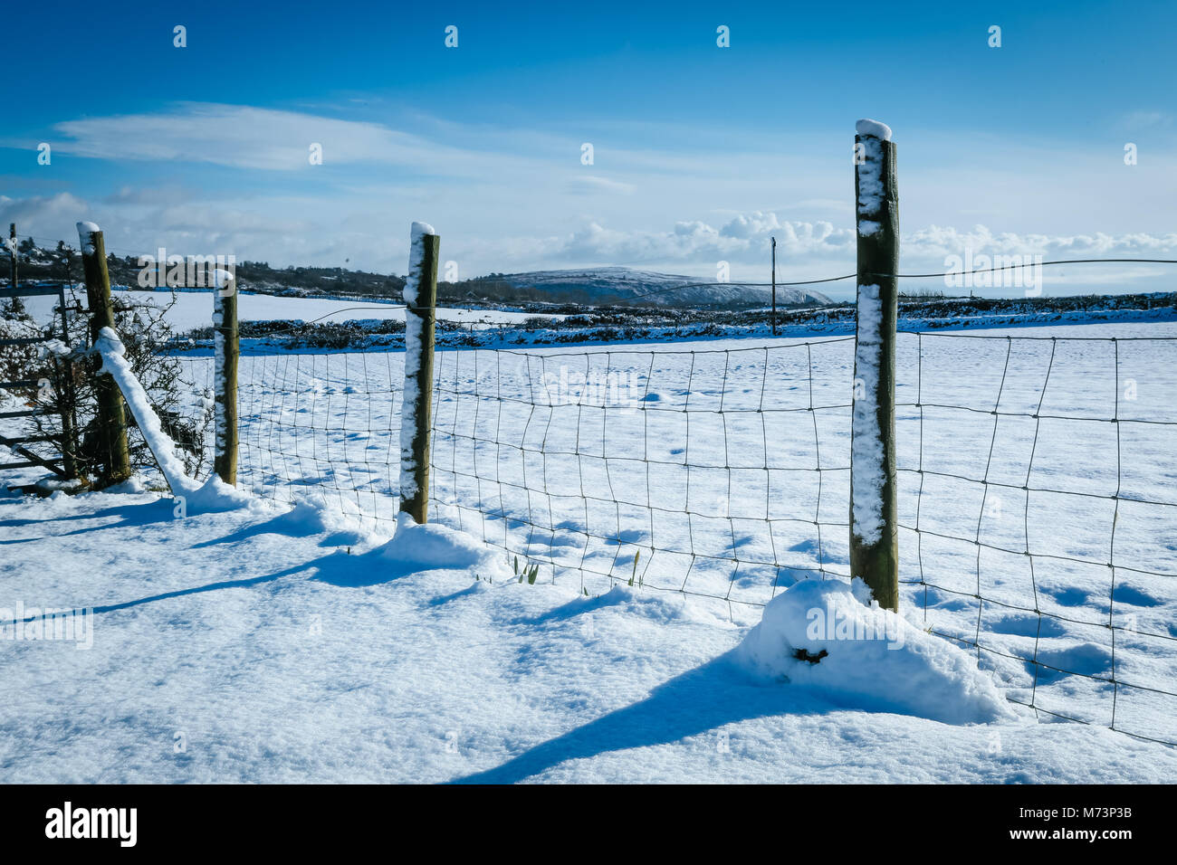 Abersoch in Gwynedd, Galles del Nord, Regno Unito. 8 Marzo, 2018. Un inaspettato soleggiato, snowy scena in Abersoch, il Galles del Nord, Regno Unito questa mattina, giovedì 8 marzo, 2018. Dopo l influenza di tempesta Emma sul weekend, causando pesanti derive di neve nella zona, la gente del posto si è svegliato questa mattina per un altro nuovo lotto di inverno, con una coltre di neve che ricopre la zona. Credito: Dafydd Owen/Alamy Live News Foto Stock