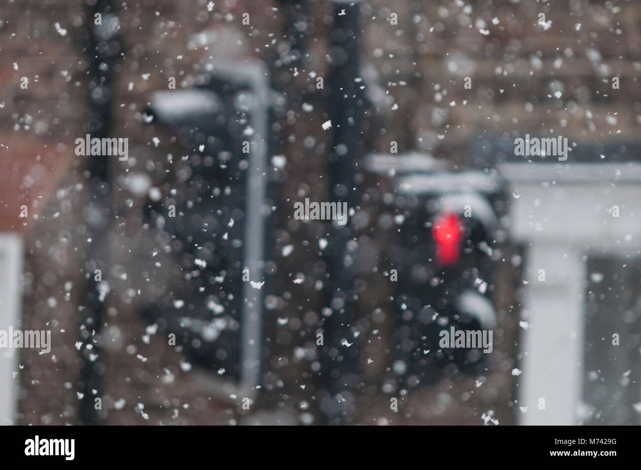 Ripon, North Yorkshire. 8 Mar, 2018. Bestia da Oriente tempesta di neve colpisce Ripon in North Yorkshire, Regno Unito il 8 marzo 2018 mattina nuovamente. L'esplosione ha causato interruzioni del traffico, di imprese e di pendolari. Questa immagine mostra una forte nevicata con fuori fuoco semaforo in background. Ogni accumulo di nevicata nel Regno Unito provoca una significativa interruzione per tutti i viaggiatori e pendolari. Non si tratta di un fenomeno comune, né. Credito: OPNSTD/Alamy Live News Foto Stock