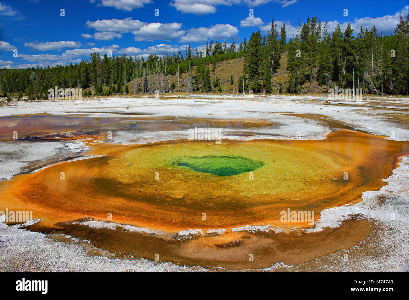 Parco Nazionale di Yellowstone Foto Stock