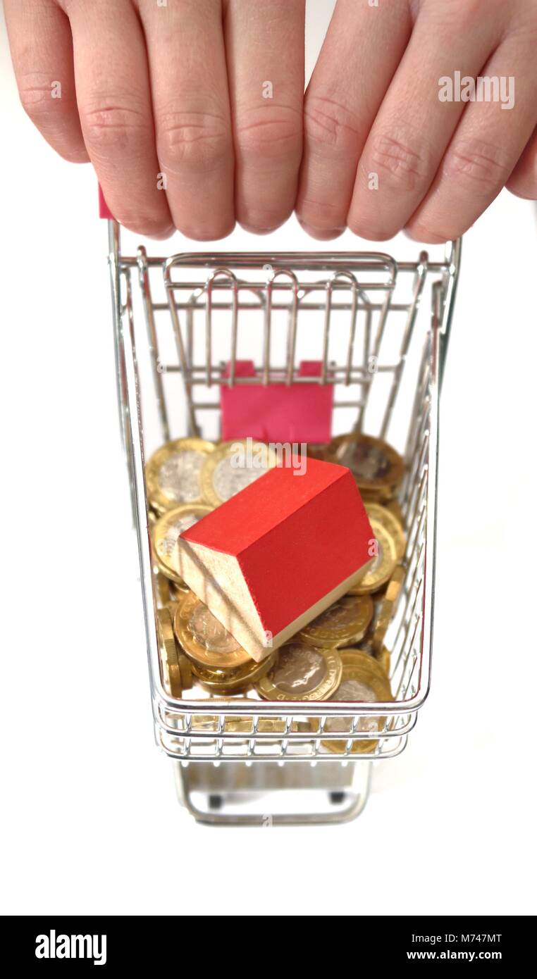 Una piccola casa in una miniatura del carrello della spesa con una libbra di monete casa concetto di acquisto Foto Stock