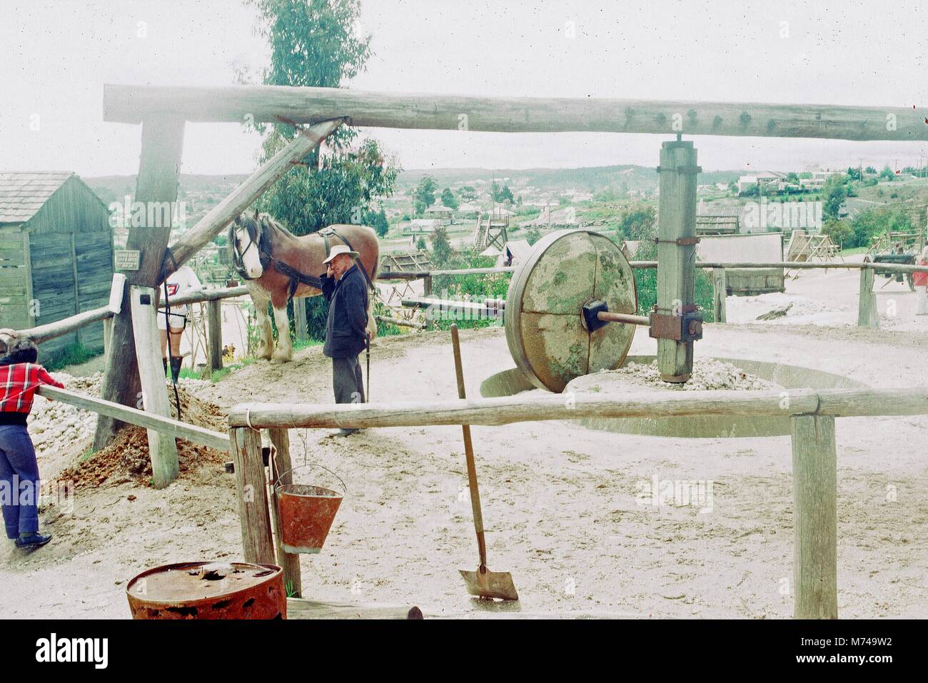 Un uomo lavora con un cavallo in un mulino a cavallo presso un museo all'aperto a reinterpreta il passato, 1965. () Foto Stock