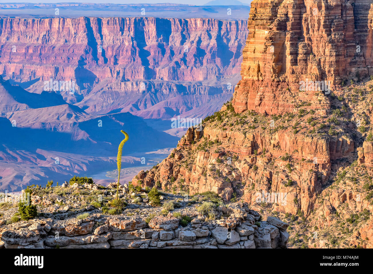 Le splendide viste dall'Orlo Sud del Grand Canyon e il Fiume Colorado in esecuzione attraverso di esso. Foto Stock