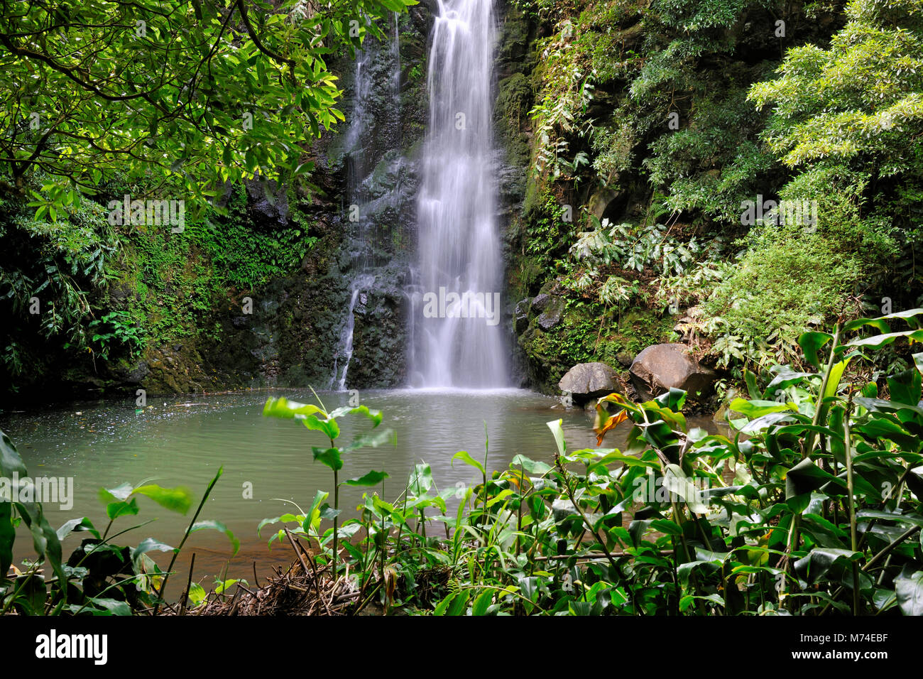 Cruzal cascata, São Jorge. Isole Azzorre, Portogallo Foto Stock