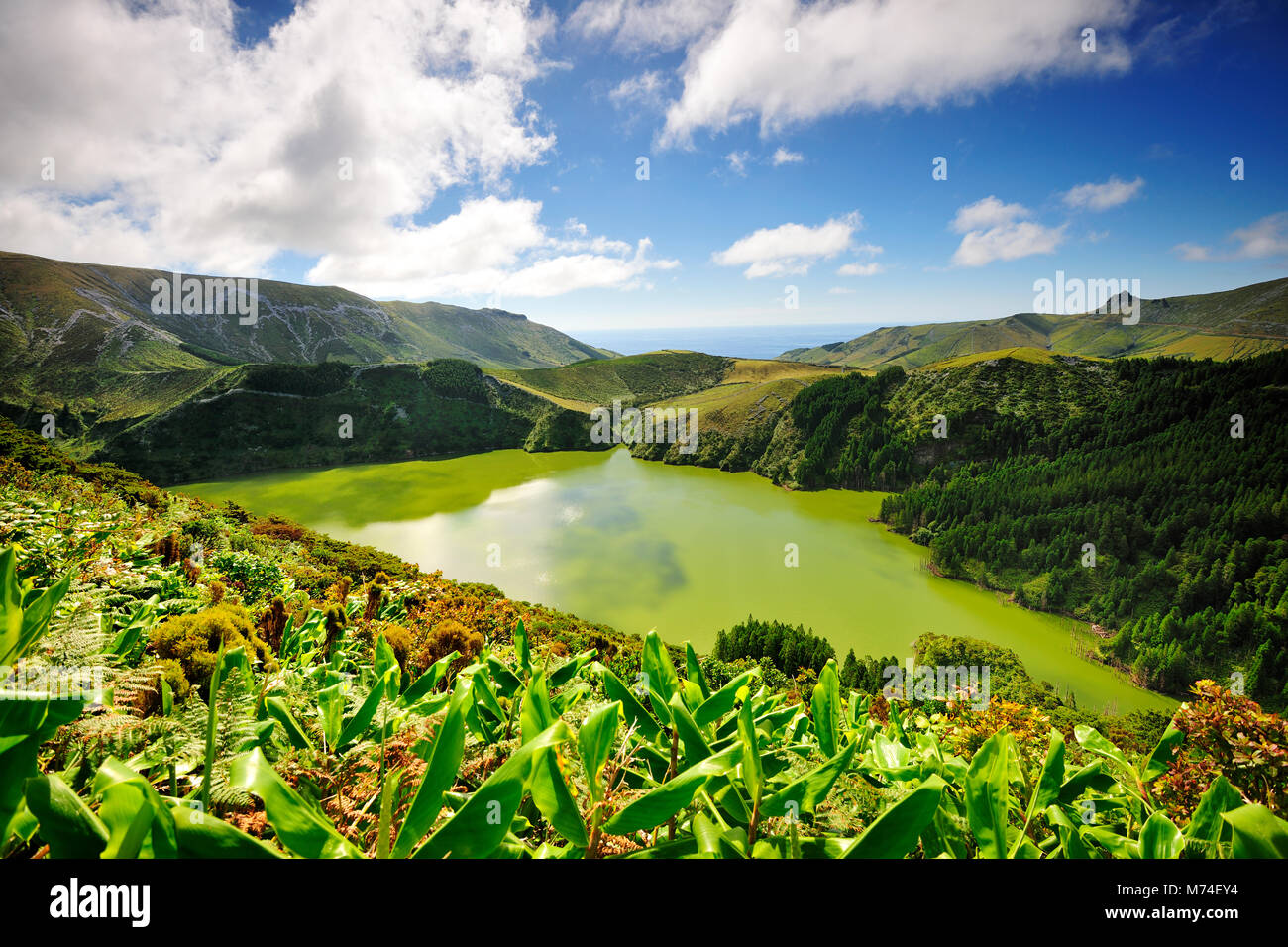 Caldeira Funda, una laguna di origine vulcanica. Sull isola di Flores. Azzorre, Portogallo Foto Stock