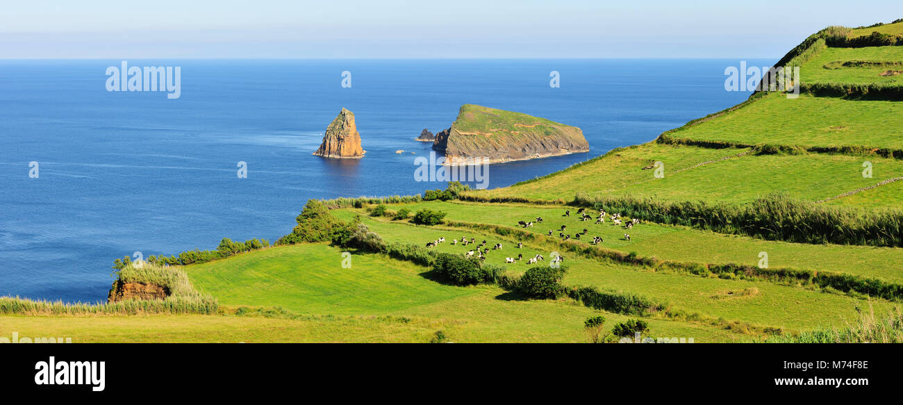 Graciosa Natura Park, Graciosa isola. Azzorre. Portogallo Foto Stock