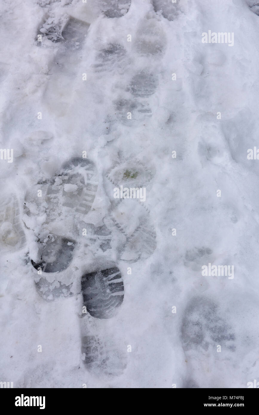 Footprints sinistra nella neve e granite all inizio del disgelo Foto Stock