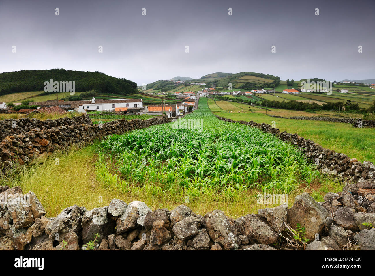 Il paesaggio rurale in Esperança Velha. Graciosa island, Azzorre. Portogallo Foto Stock