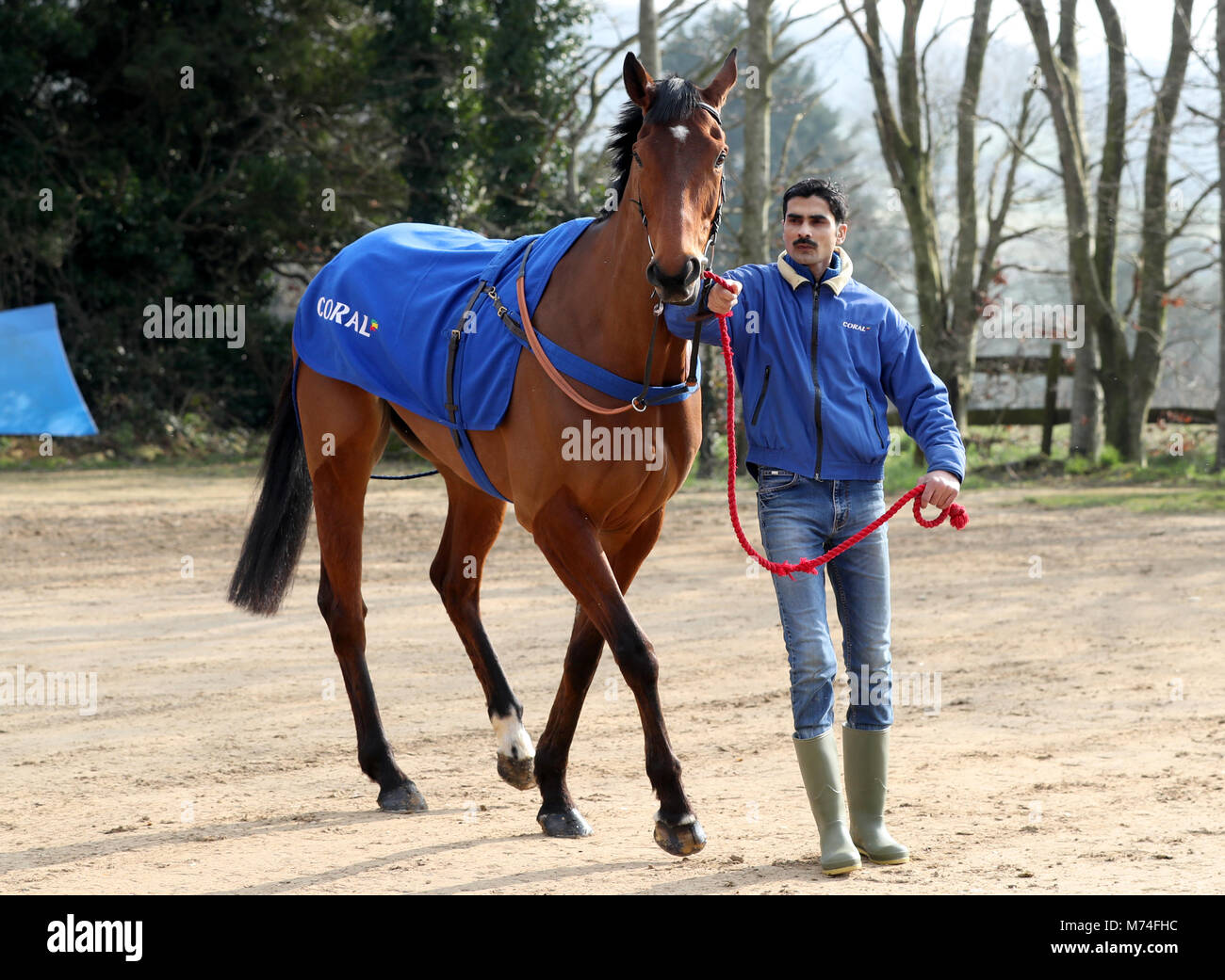 Elegante Escape viene sbandierato ai media durante la visita di stabile a Colin Tizzard's yard a Milborne Port, Somerset. Stampa foto di associazione. Foto data: mercoledì 21 febbraio, 2018. Foto di credito dovrebbe leggere Simon Cooper/filo PA. Foto Stock
