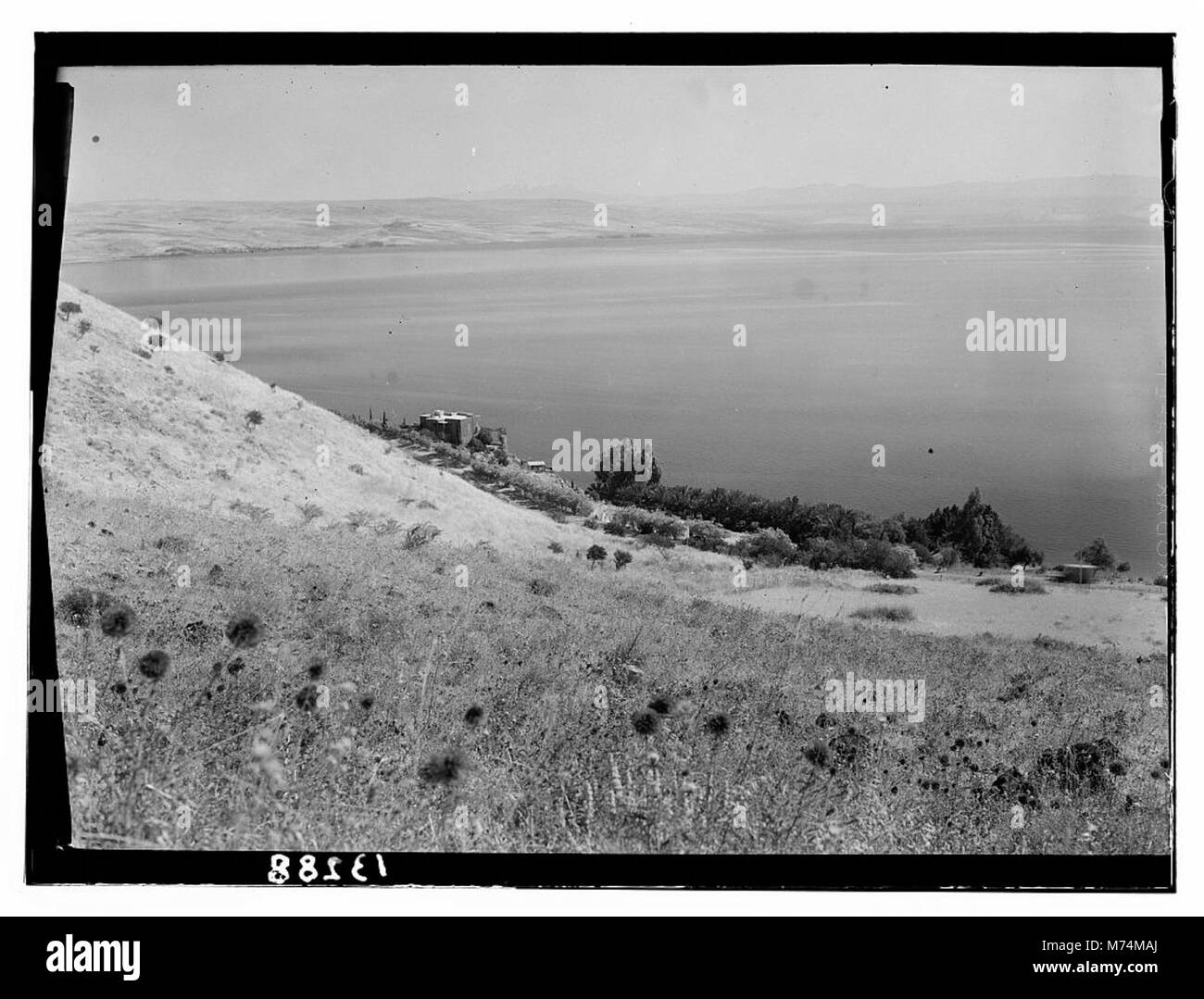 Questa immagine mostra una vista della Galilea, situata a nord di Tiberiade, con la proprietà Y.M.C.A. e la casa del dottor Harte. Il Mare di Galilea può essere visto sullo sfondo, offrendo un paesaggio panoramico e storico. Foto Stock