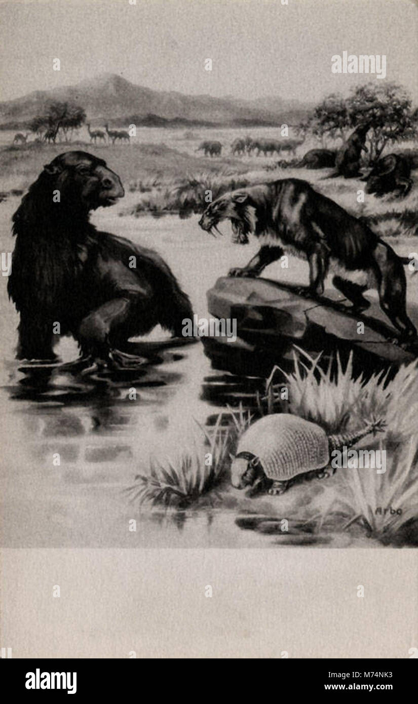 Bradipo gigante, Megatherium, Saber dente tigre, Glyptodont, Armadillo (BNI 415765) Foto Stock
