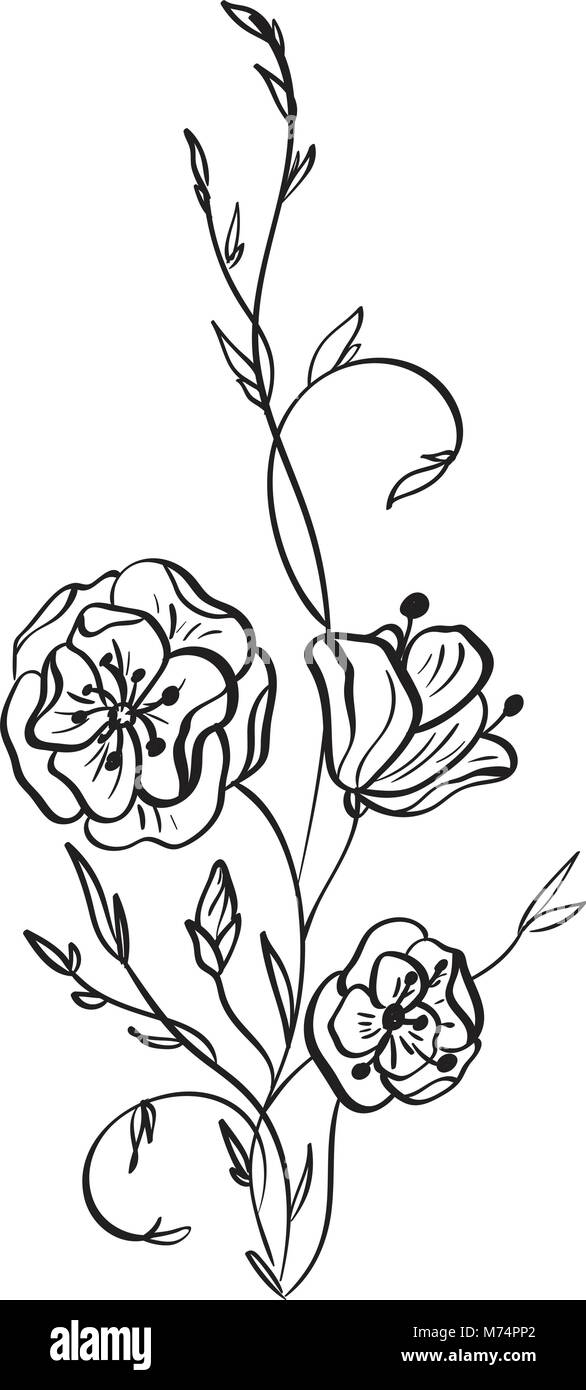 Disegnata a mano Wild rose fiori disegno vettoriale e disegno con linea-arte su sfondi bianchi Illustrazione Vettoriale