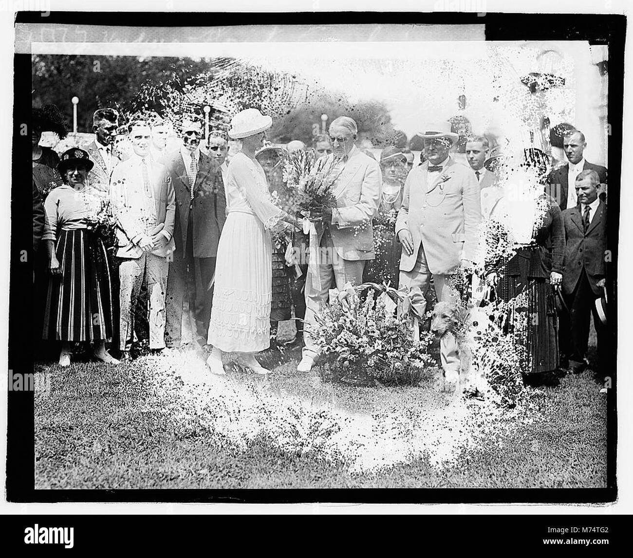 La Harding & Florist Convention, scattata in questa fotografia storica, documenta un raduno di fioristi o professionisti del settore, che riflettono il commercio e gli eventi del tempo. Foto Stock