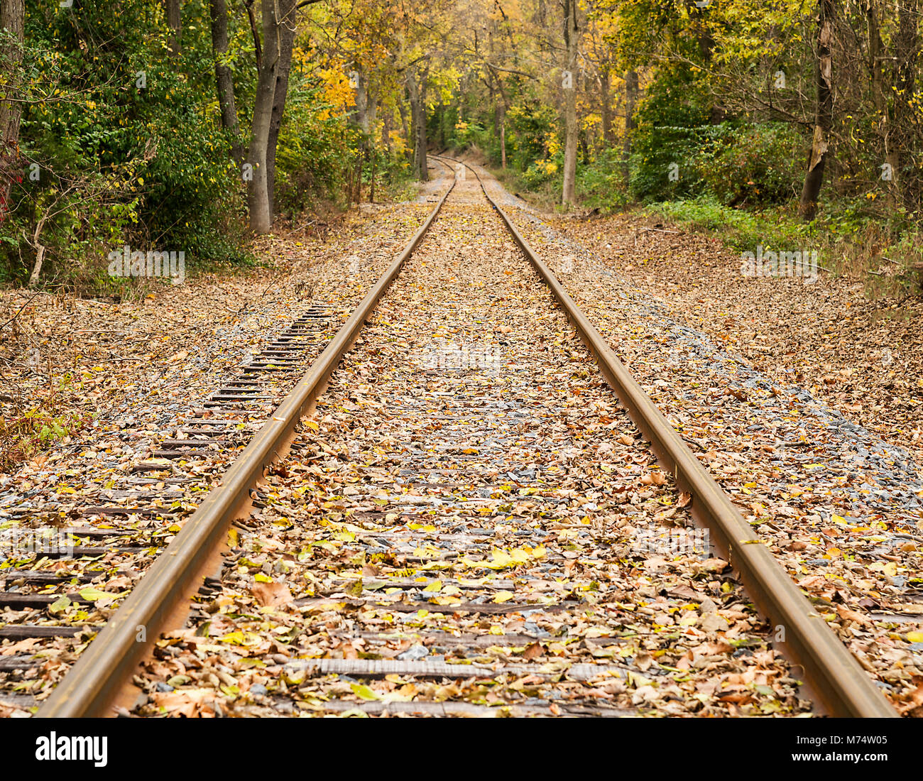 Un set di ferrovia convergono in corrispondenza di una curva dove la caduta delle foglie crea splendidi colori di arancione, giallo e verde. Foto Stock