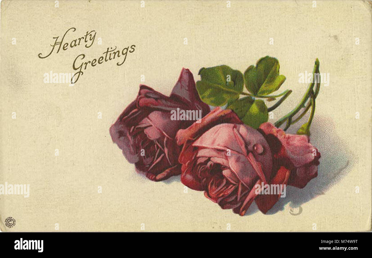 Un biglietto d'auguri con un mazzo di rose, che simboleggia il calore e l'affetto, con un messaggio di cordialità. Foto Stock