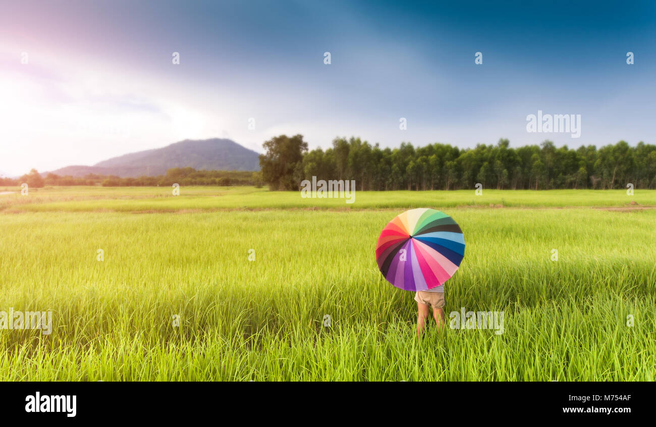 Ombrello coloratissimo nel verde del campo di riso da top occhio guarda foto con luce solare esterna illuminazione. Foto Stock