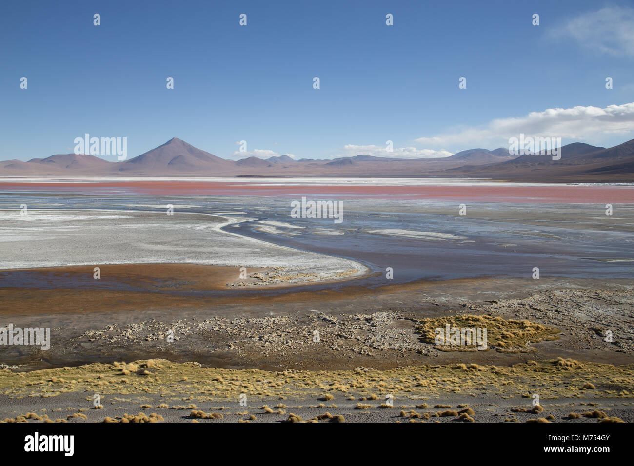 Laguna Colorada in Bolivia Foto Stock