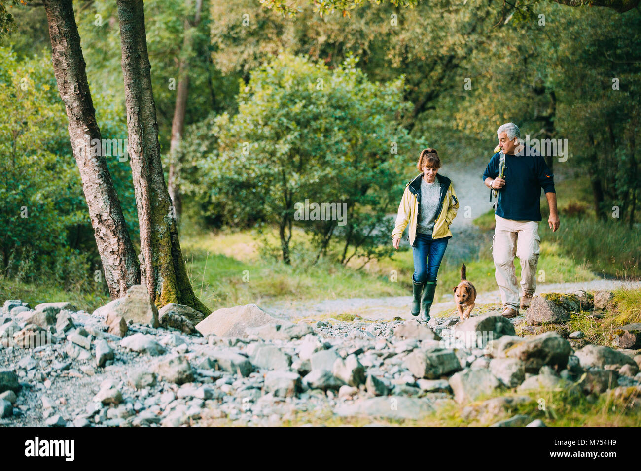 Coppia senior sono escursioni attraverso il Lake District insieme con il loro cane. Foto Stock