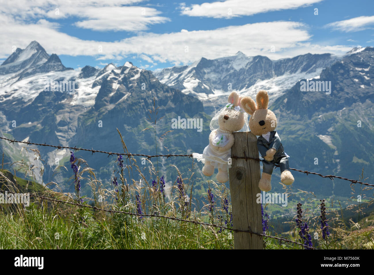 Gli sposi in luna di miele in Alpi Bernesi in Svizzera Foto Stock