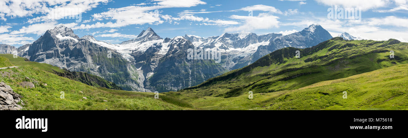 Una delle migliori viste sulle Alpi Bernesi è da Grindelwald prima Foto Stock