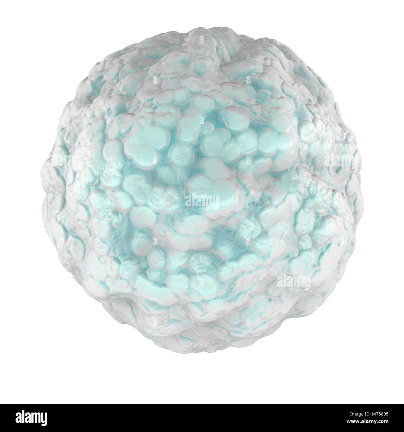 Leucociti, globuli bianchi il visto sotto un microscopio. Cell. Il rendering 3D Foto Stock
