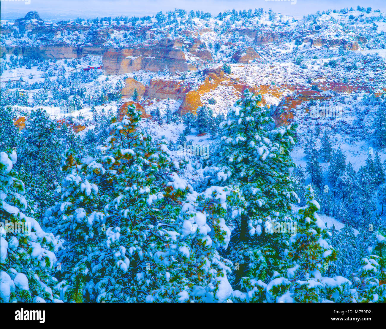 Coperte di neve alberi e vista nevoso, Wildcat Hills Riserva Statale, Nebraska, vicino Scottsbluff Foto Stock