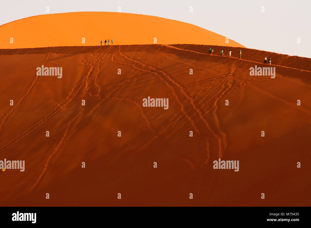 Turisti duna di arrampicata 45, Namib Naukluft National Park, Namibia Foto Stock