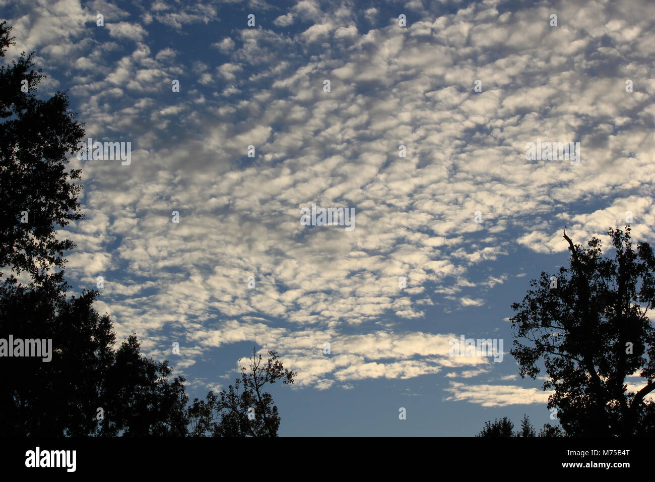 Blu cielo nuvoloso Foto Stock