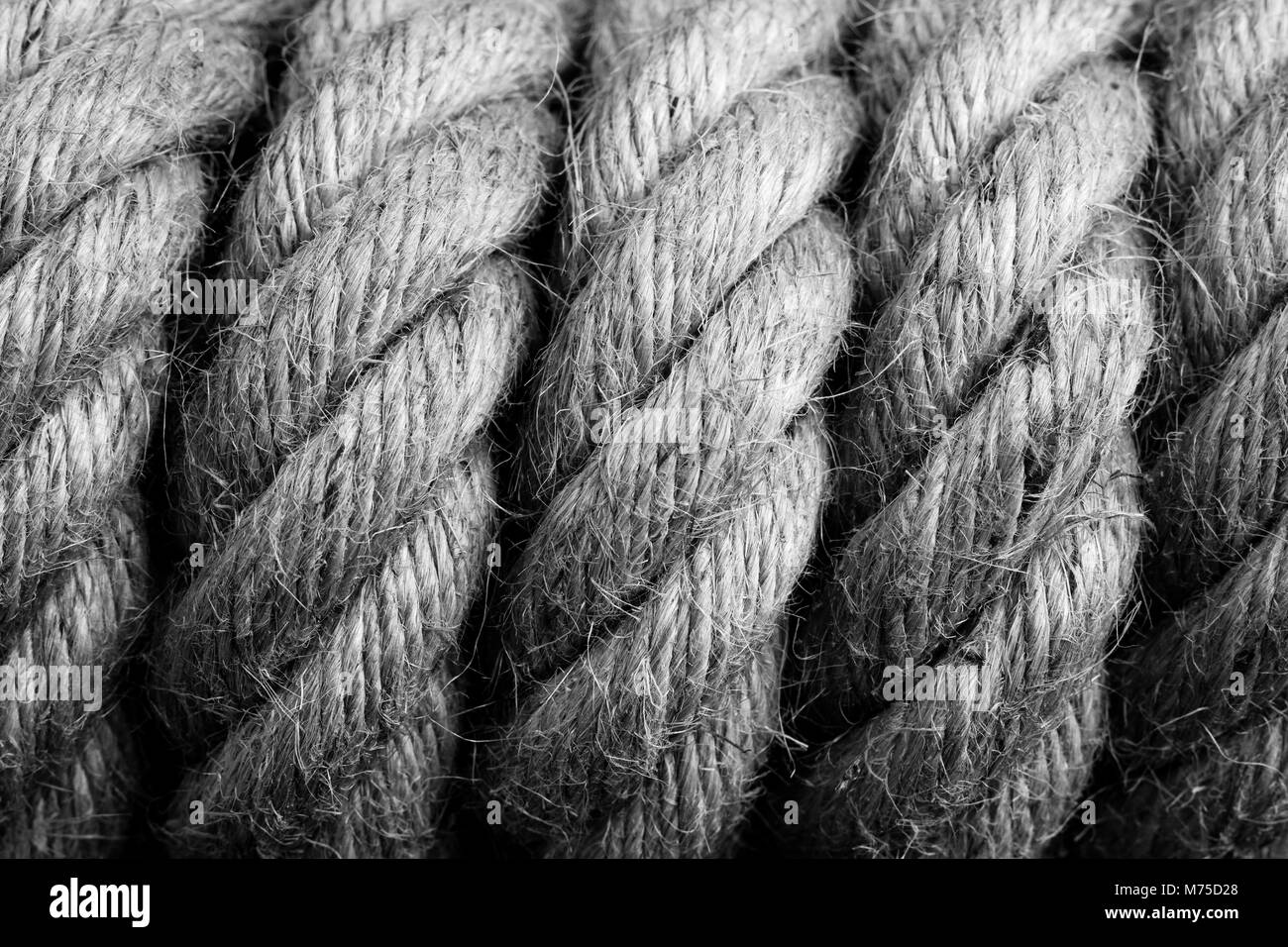 Gallows cappio nodo - immagine in bianco e nero Foto Stock