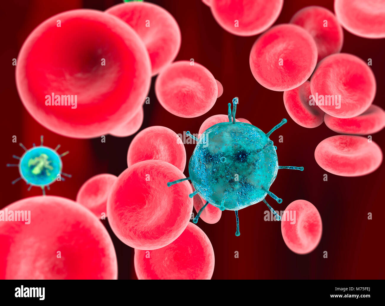 Le cellule rosse del sangue e virus, sferiche piccole celle che contengono emoglobina Foto Stock