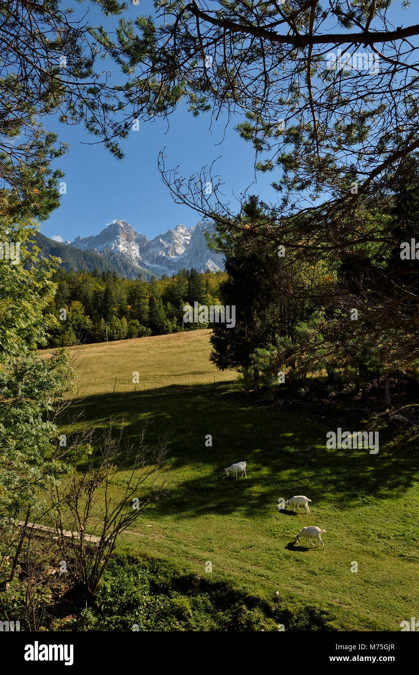 Il paesaggio alpino da Kranjska Gora , Slovenia Foto Stock