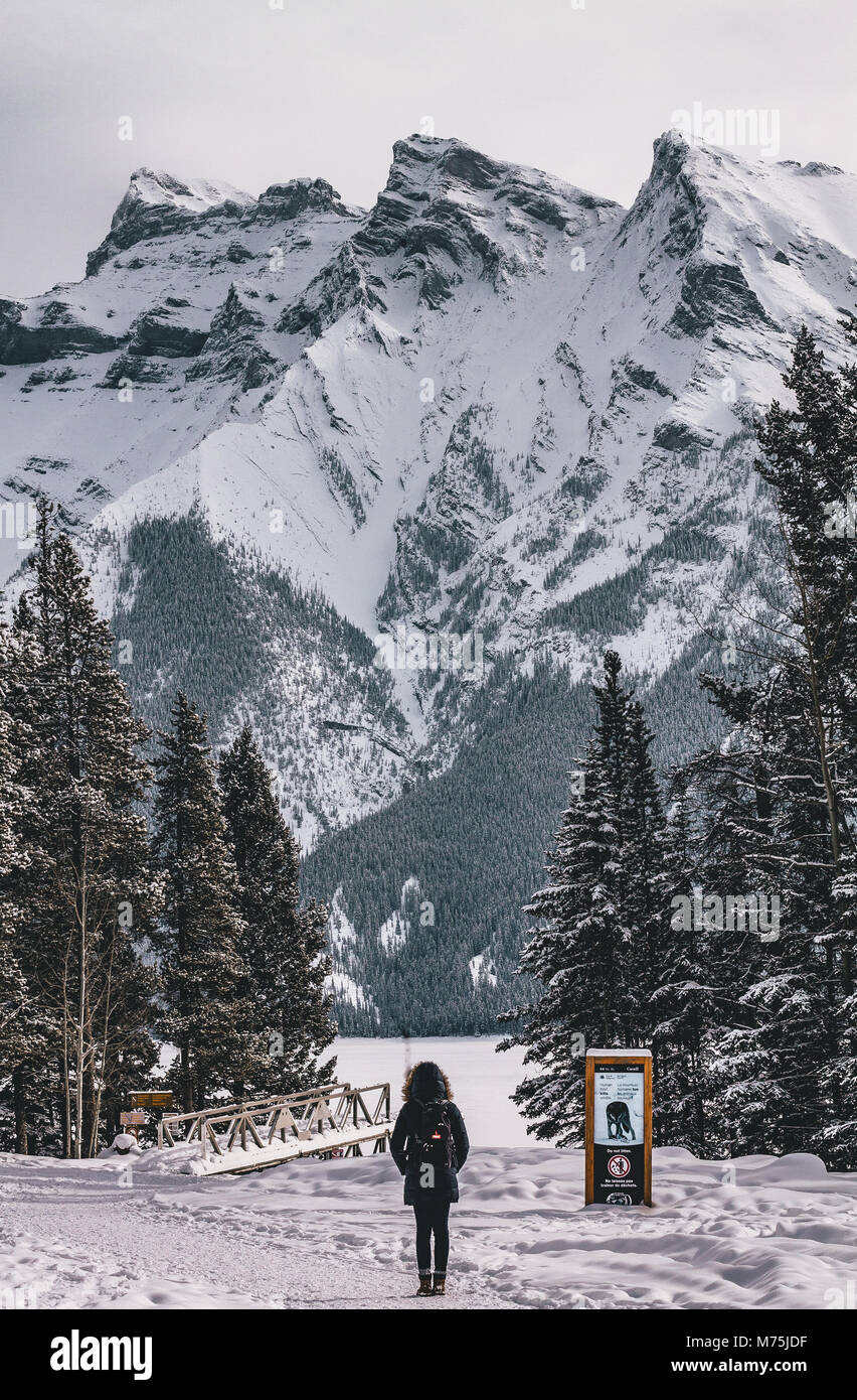 Incredibile vista delle montagne rocciose Foto Stock