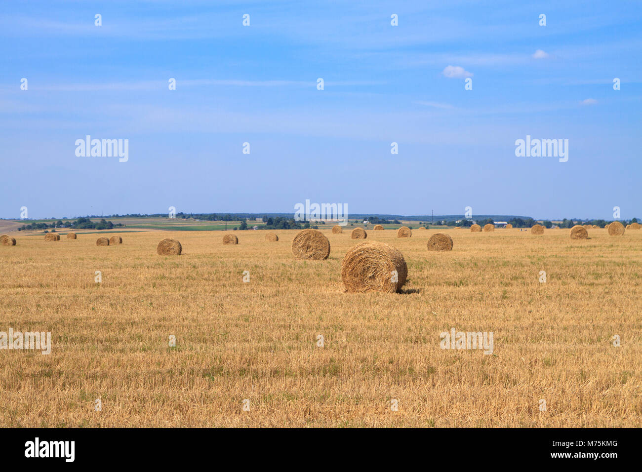 Le balle di paglia in attesa per la raccolta in un campo in autunno sotto un azzurro cielo nuvoloso. Foto Stock